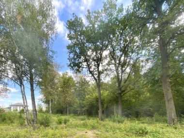 Продажа участков КП Аметист - Синергия - 59350