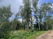 Продажа участка Раздоры 23 сотки Рублево-Успенское шоссе - 626939