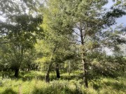 Продажа участка Раздоры 23 сотки Рублево-Успенское шоссе - 626942