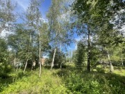 Продажа участка Раздоры 29 соток Рублево-Успенское шоссе - 628352