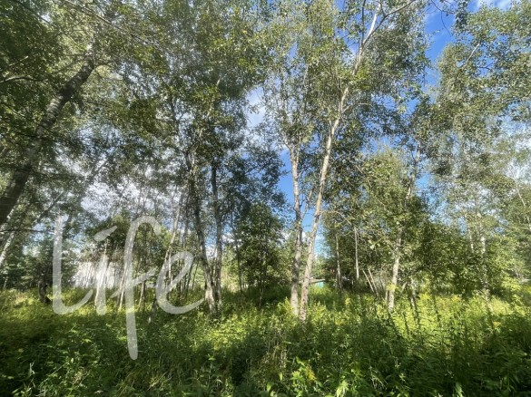 Продажа участка Раздоры 29 соток Рублево-Успенское шоссе - 628350