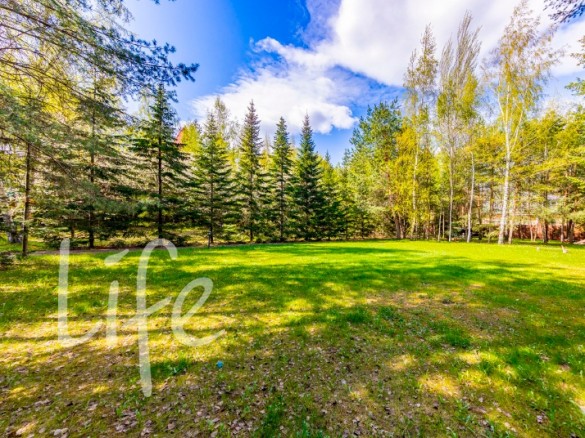 Продажа участка Жуковка 45 соток Рублево-Успенское шоссе - 631970