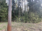 Продажа участка Новогорск 32 сотки Куркинское шоссе - 632506