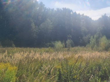 Купить участок - Новогорск - 59452