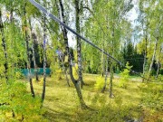 Продажа участка Бузаево 46 соток Рублево-Успенское шоссе - 637260