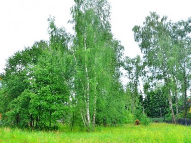 Продажа участков Рублево-Успенское - Бузаево - 59608