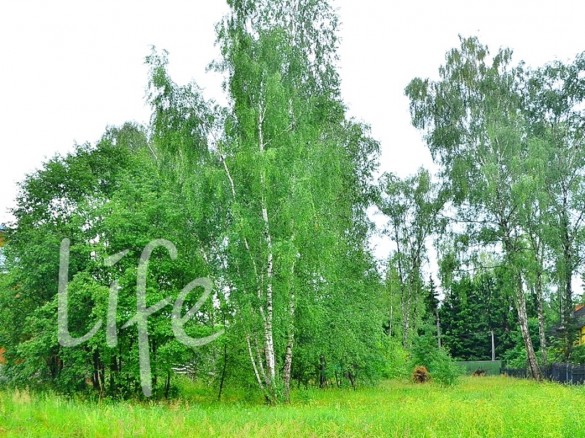 Продажа участка Бузаево 46 соток Рублево-Успенское шоссе - 637259