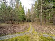 Продажа участка Дипломат 48 соток Рублево-Успенское шоссе - 638078