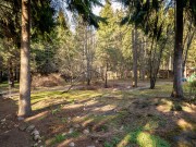 Продажа участка Дипломат 48 соток Рублево-Успенское шоссе - 638084