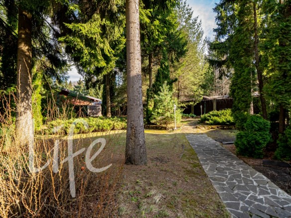 Продажа участка Дипломат 48 соток Рублево-Успенское шоссе - 638059