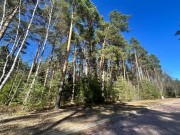 Продажа участка Сосновый бор (Николина Гора) 50 соток Рублево-Успенское шоссе - 638567