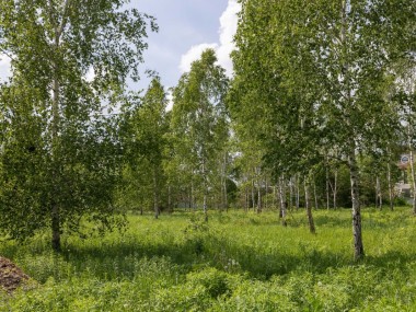 Продажа участков Ильинское - Ильинский ландшафт - 59655