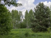 Продажа участка Ильинский ландшафт 16 соток Новорижское шоссе - 638889