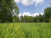 Продажа участка Ильинский ландшафт 13 соток Новорижское шоссе - 638885