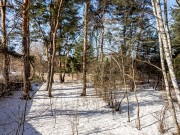 Продажа участка Жуковка 53 сотки Рублево-Успенское шоссе - 639136