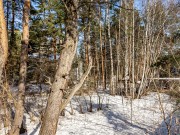 Продажа участка Жуковка 53 сотки Рублево-Успенское шоссе - 639137