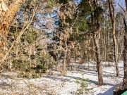 Продажа участка Жуковка 53 сотки Рублево-Успенское шоссе - 639141