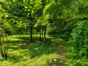 Продажа участка Академические дачи 50 соток Рублево-Успенское шоссе - 641361