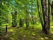 Продажа участка Академические дачи 50 соток Рублево-Успенское шоссе - 641363