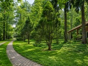 Продажа участка Академические дачи 50 соток Рублево-Успенское шоссе - 641367