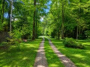 Продажа участка Академические дачи 50 соток Рублево-Успенское шоссе - 641370