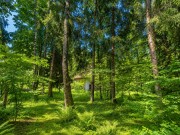 Продажа участка Академические дачи 50 соток Рублево-Успенское шоссе - 641372