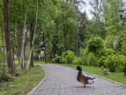 Продажа участка Балтия 27 соток Новорижское шоссе - 642005