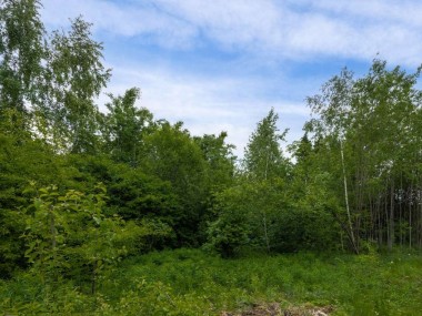 Продажа участков Новорижское - Балтия - 59727