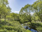 Продажа участка Середнево 71 сотка Киевское шоссе - 642940