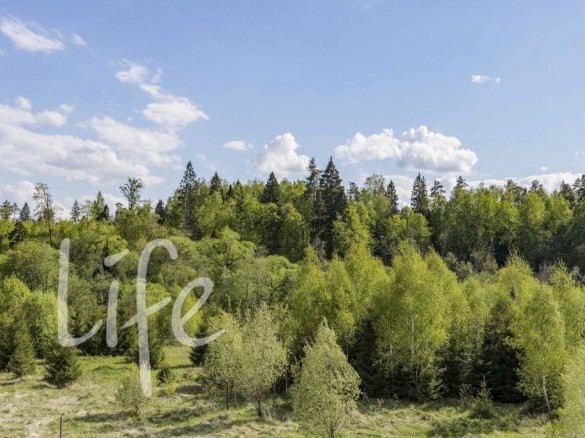 Продажа участка Середнево 21 сотка Киевское шоссе - 642942