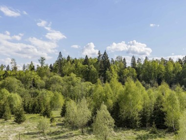 Продажа участков Киевское - Середнево - 59756