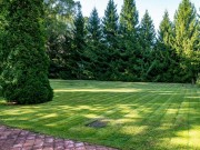 Продажа участка Любушкин Хутор 49 соток Рублево-Успенское шоссе - 646551