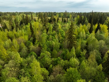 Продажа участков Рублево-Успенское - Иславское - 60048
