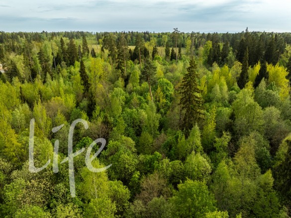 Продажа участка Иславское 16 соток Рублево-Успенское шоссе - 647397