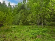 Продажа участка Ромашково 100 соток Рублево-Успенское шоссе - 647554
