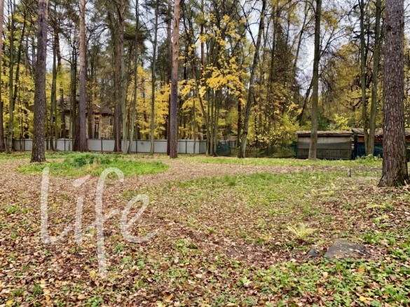 Продажа участка Жуковка 23 сотки Рублево-Успенское шоссе - 648846