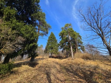Продажа участков Новорижское - Дергайково - 60135