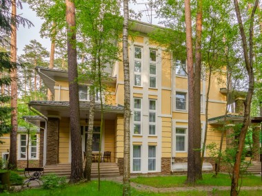  - Лес ДСК (Жуковка) - 33762